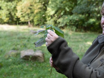 Sprzątanie świata w PKWŁ, 